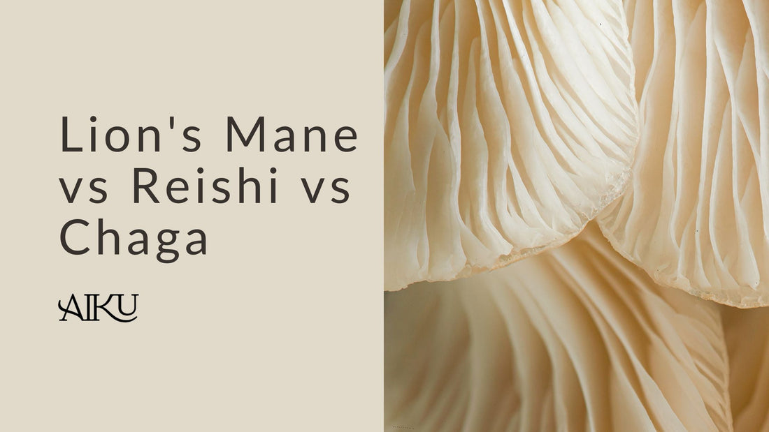 Lion's Mane vs Reishi vs Chaga: Which Mushroom Is Right for You?