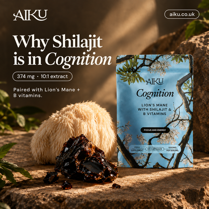 Shilajit: What It Is, Benefits, Mineral Content, and Why it is in Cognition